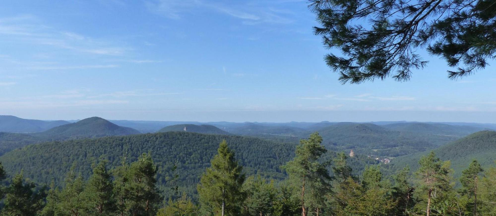 Ferienwohnung "Monte Noble" Suedpfalz Erlenbach  Exteriör bild
